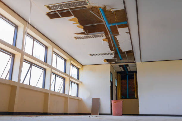 Best Professional water damage repair  in Glen Allen, VA