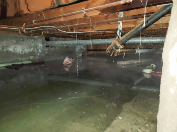 Best Water damage cleanup near me  in Glen Allen, VA
