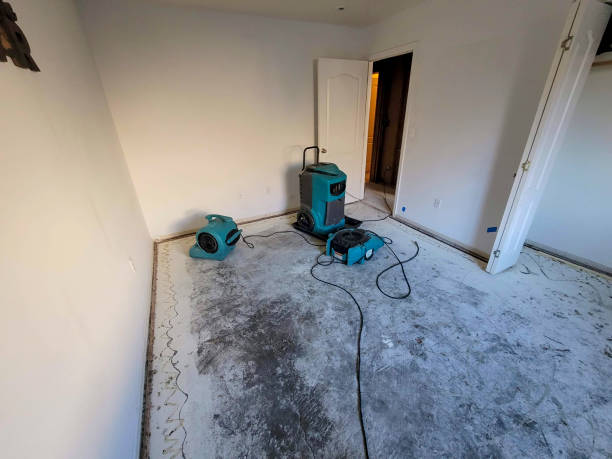 Best Flood restoration services  in Glen Allen, VA