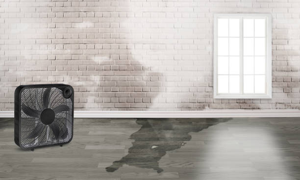 Best 24-hour water damage restoration  in Glen Allen, VA