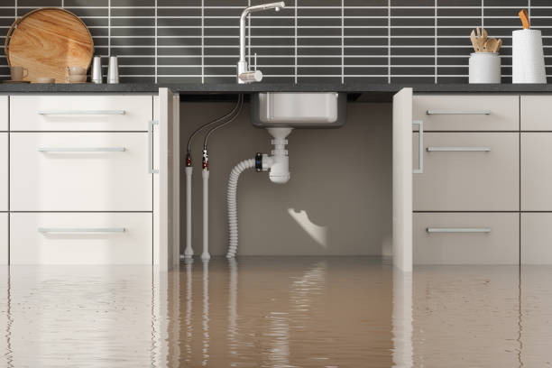 Best Water damage repair service  in Glen Allen, VA