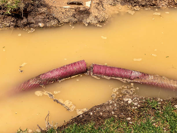 Best Water damage cleanup near me  in Glen Allen, VA