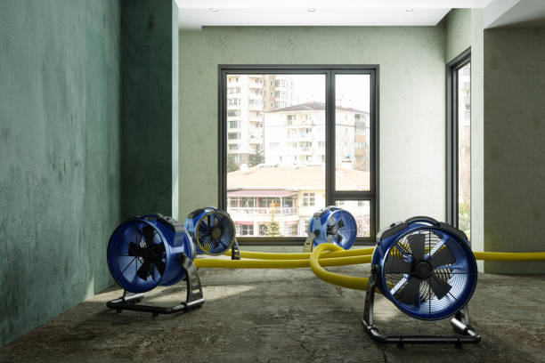 Best Water damage repair service  in Glen Allen, VA