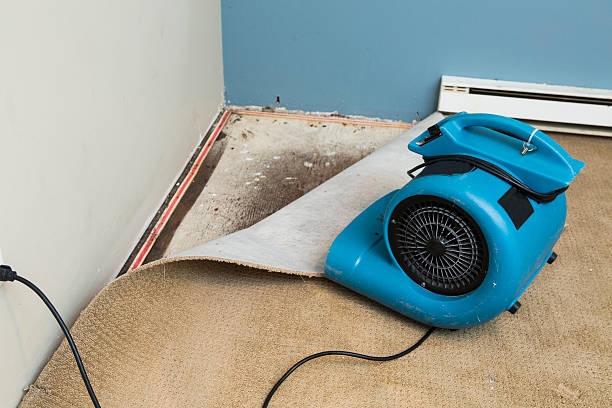 Water damage restoration mold remediation in VA